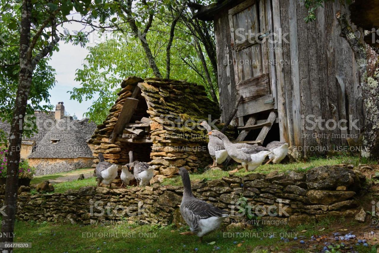 Studio Fontaine D'Amour ซาร์ลา-ลา-กาเนดา ภายนอก รูปภาพ